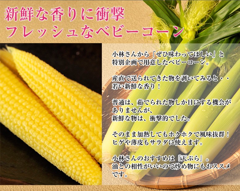 わたあめとうもろこし　8本『少しこぶり』 甘みがぎゅっと詰まった とうもろこし(群馬県産)|有機野菜 通販