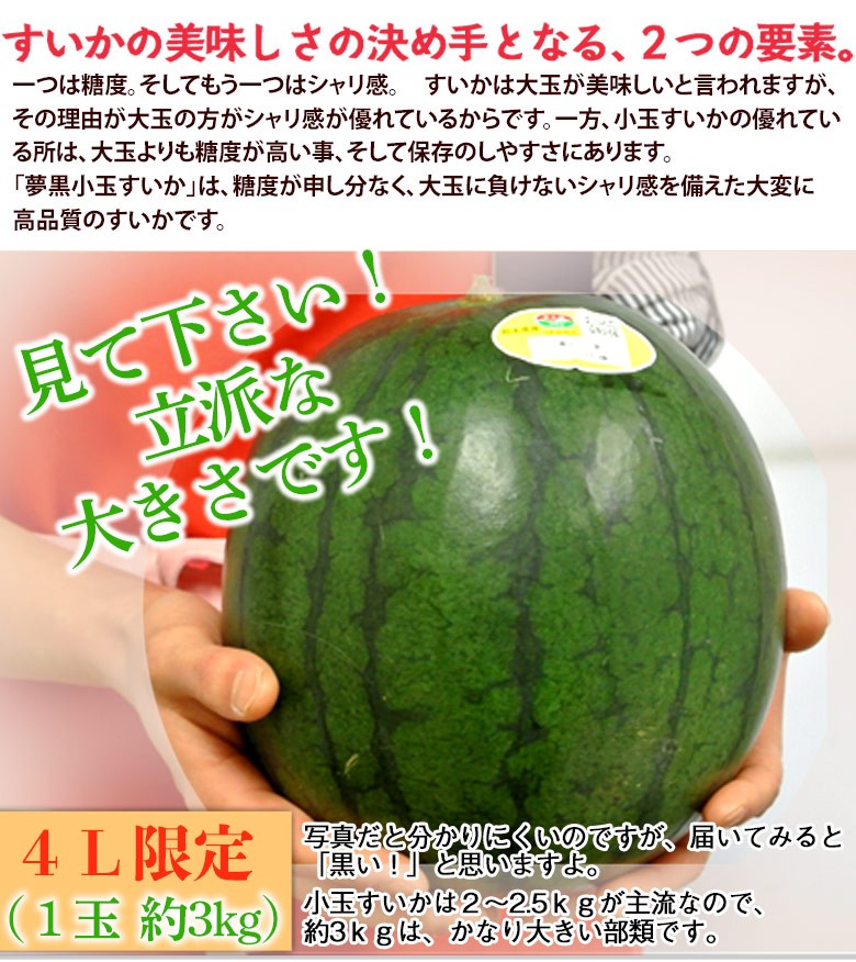 熊本県産　すいか　3Lサイズ　秀　夢未来　2玉セット 楽天市場】【7/25限定！全額ポイントバックの大チャンス】熊本県