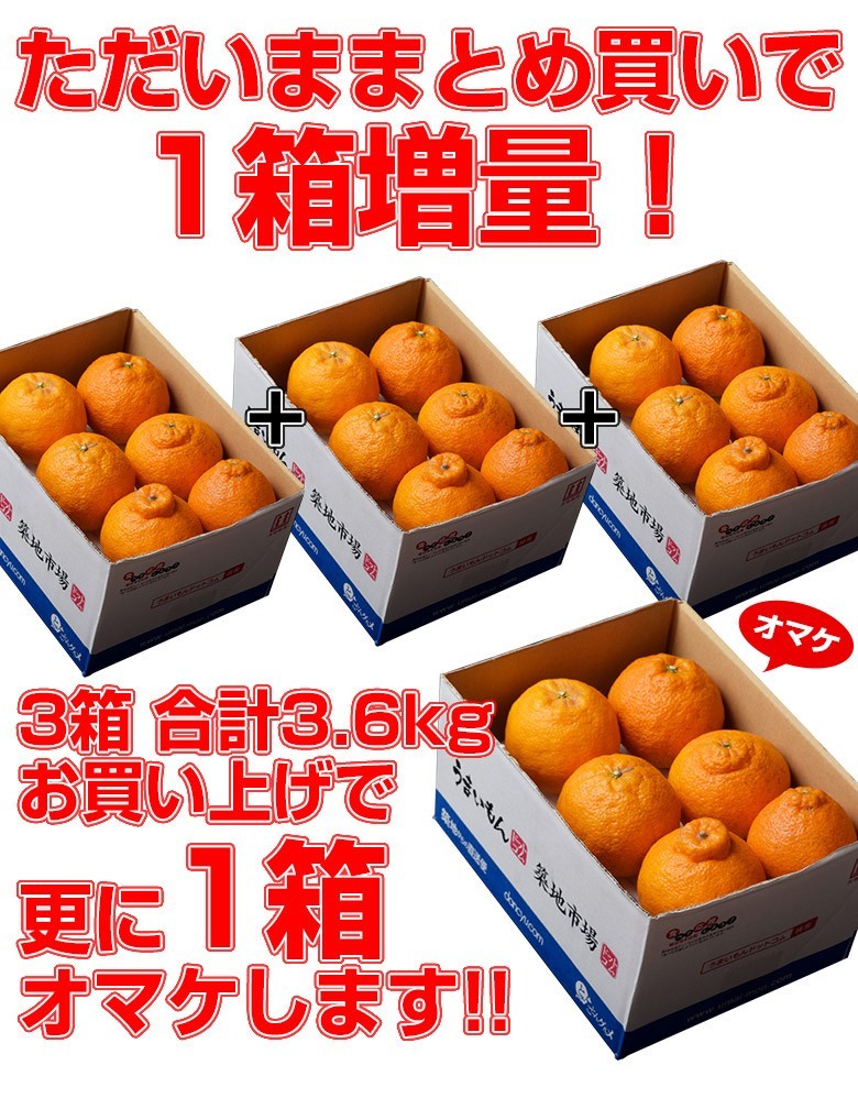 デコポン でこぽん 熊本県産 約1 2kg 4 6玉 3箱買えば1箱オマケ 送料無料 常温 3i 豊洲からの直送便 ヤフー店 通販 Yahoo ショッピング