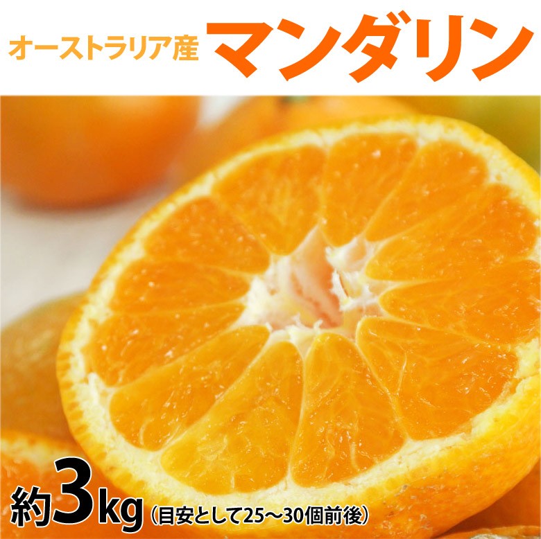 ★みかん★USA産イタリアンライグラス Amazon | サンヨ－ 甘さおさえたライトシラップ みかん EO 227g