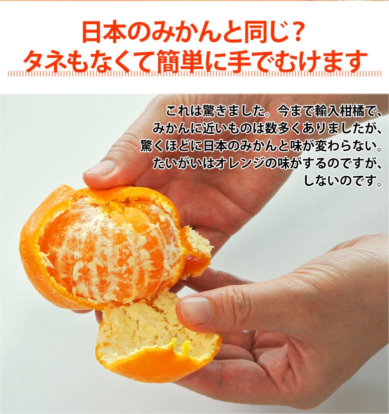 ★みかん★USA産イタリアンライグラス ☆みかん様専用☆USA産イタリアンライグラス