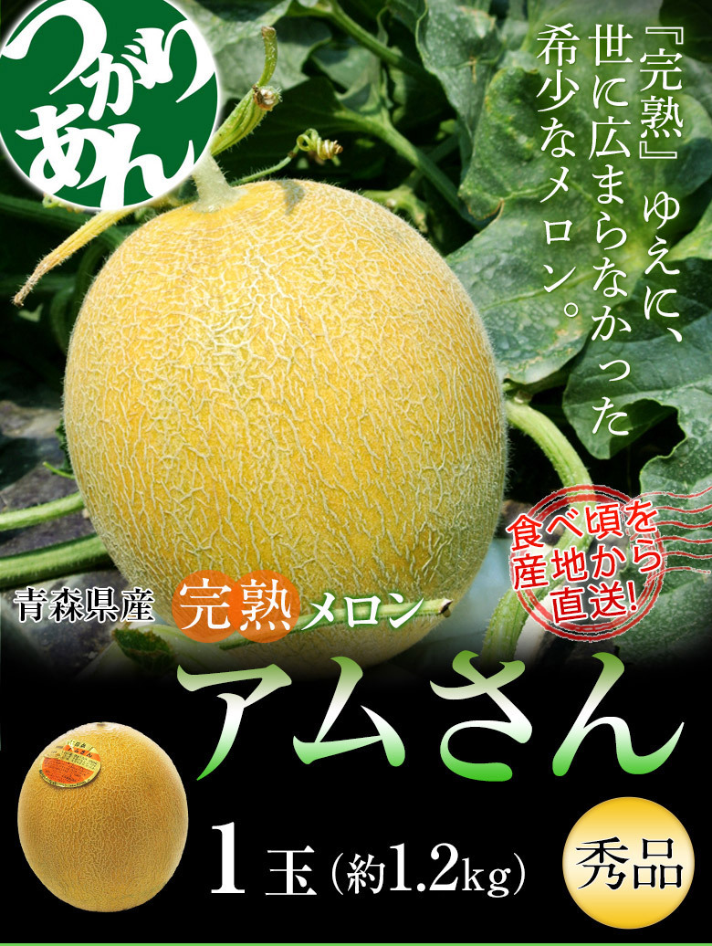 青森県産 摘果メロン 約3.5キロ 再入荷1番人気 その他 | tunegocio.pe