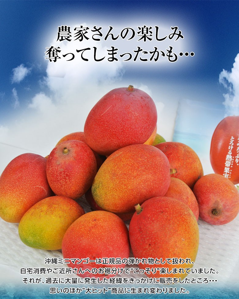 マンゴー 沖縄産　ミニマンゴー　約1.5kg　多少の訳あり品　※常温または冷蔵