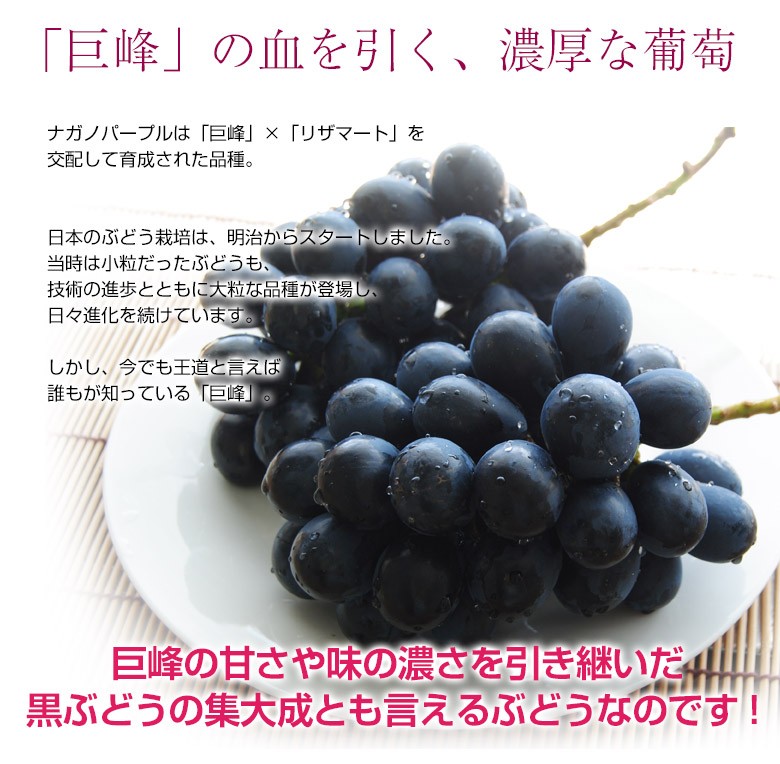 よろしくお のーん様専用長野パープル4キロ1番遅い時間の通販 By Khnnma S Shop ラクマ フルーツ