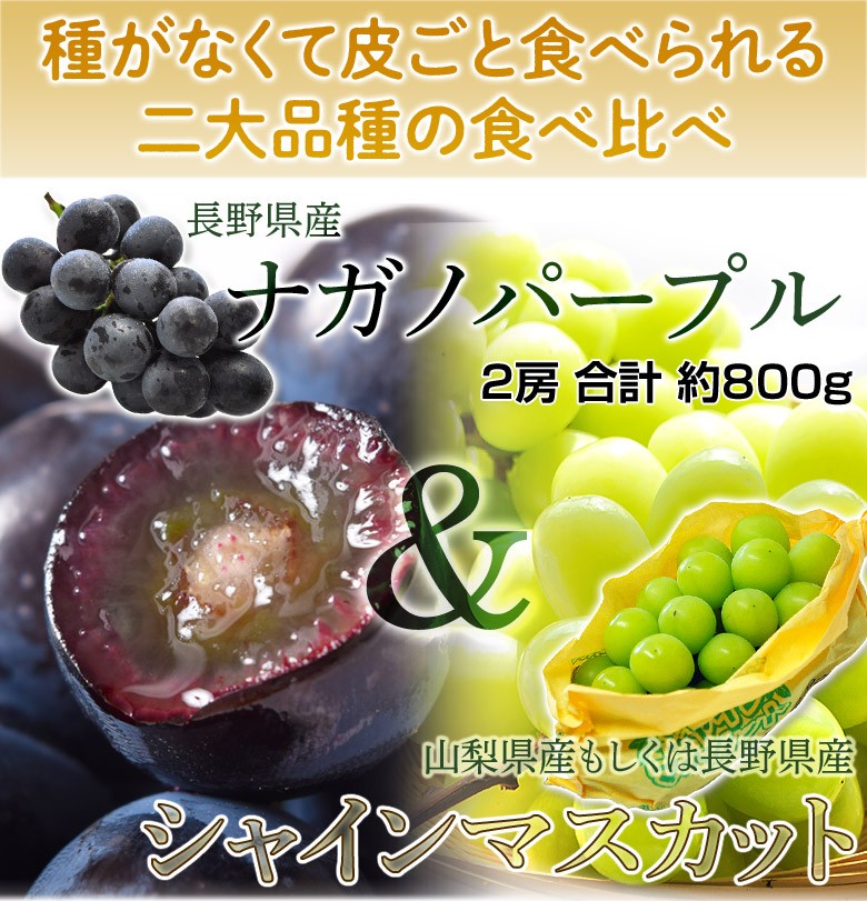 『シャインマスカット＆ナガノパープル』 山梨県・長野県産 各1房（計2房 約800g）簡易箱 ※冷蔵　送料無料　葡萄　ぶどう