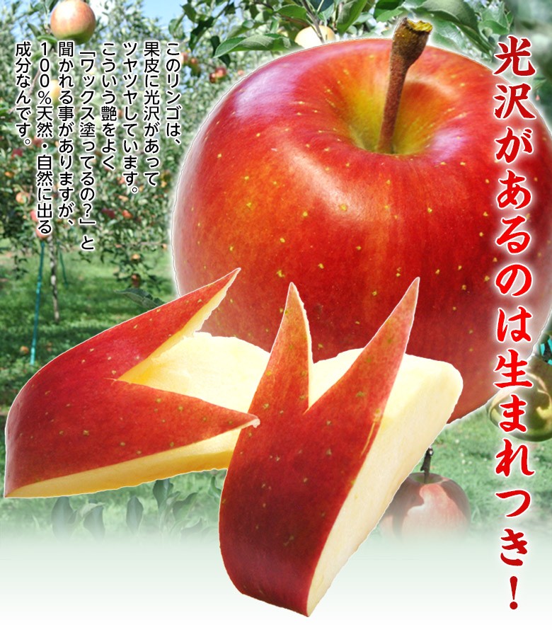 青森県産りんご 安祈世（あきよ） 10〜15玉 約3キロ 特A 常温 送料無料　リンゴ