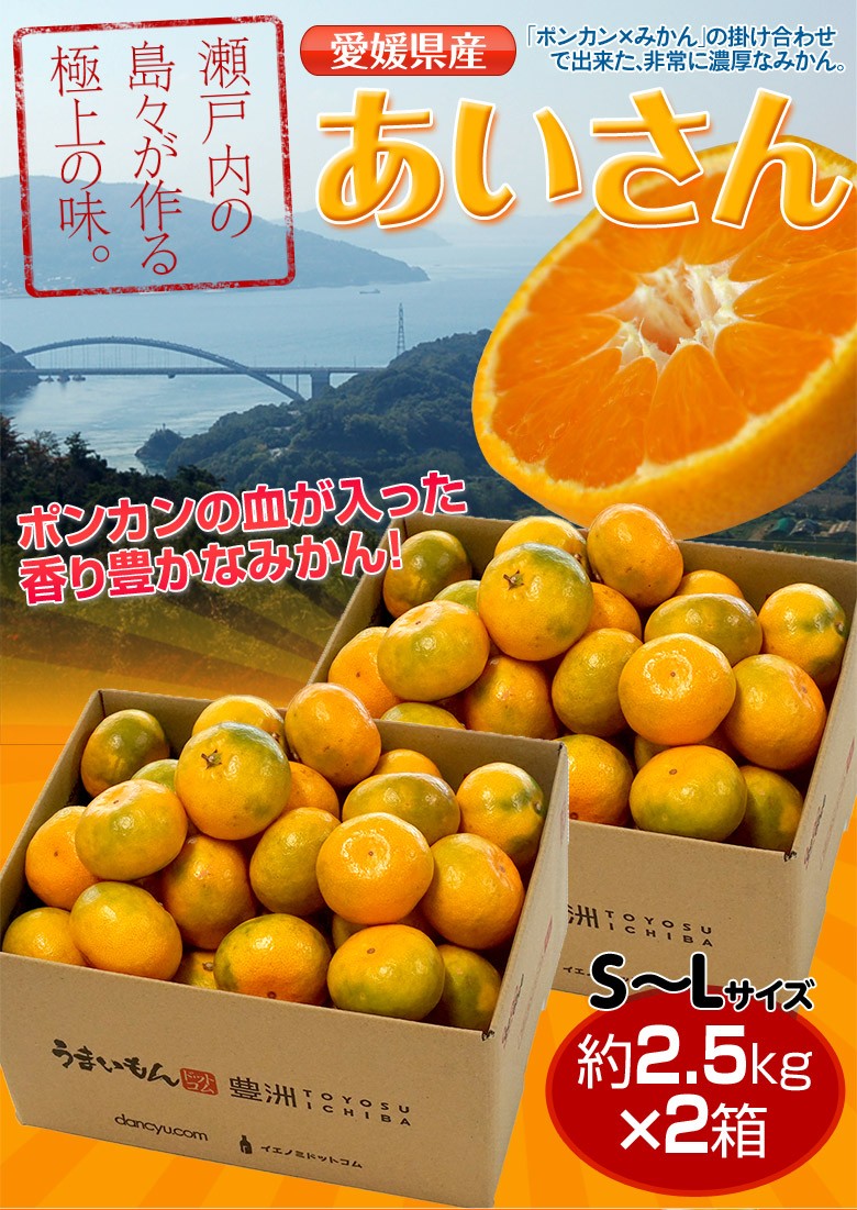 みかん 愛媛県産 あいさん S〜Lサイズ 約2.5kg×2箱 送料無料