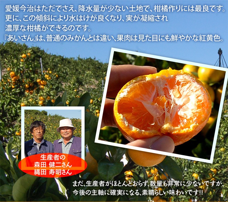 ミカンページ サニープレイス しその葉+ミカン スキンウォータースペシャル