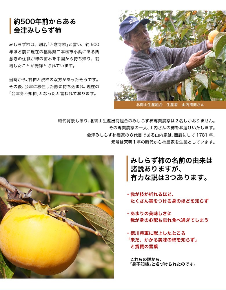 山内さんの 訳あり会津身不知柿（あいづみしらずがき） 福島県産 約4kg