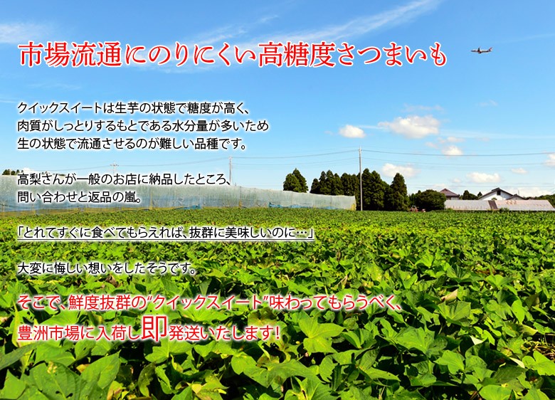 2箱同時購入で1箱分増量】千葉県産 高梨さんのさつまいも クイックスイート1箱約2kg S〜Lサイズ 送料無料 常温  :203i06904:豊洲からの直送便 ヤフー店 - 通販 - Yahoo!ショッピング