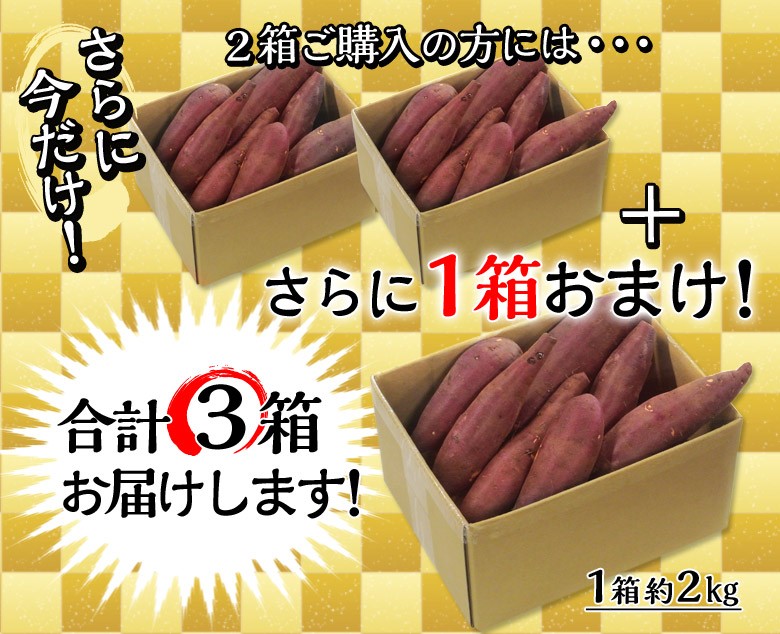 2箱同時購入で1箱分増量】千葉県産 高梨さんのさつまいも クイックスイート1箱約2kg S〜Lサイズ 送料無料 常温  :203i06904:豊洲からの直送便 ヤフー店 - 通販 - Yahoo!ショッピング