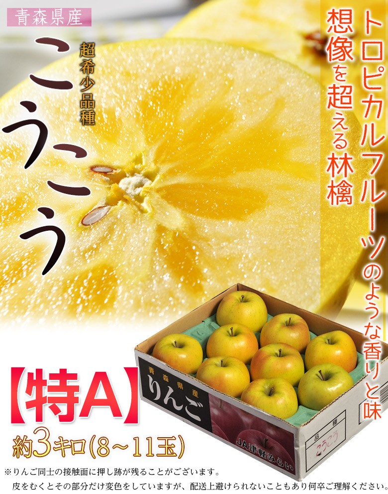 りんご 林檎 リンゴ 青森県産 こうこう林檎 約3kg 8〜11玉 特A 送料