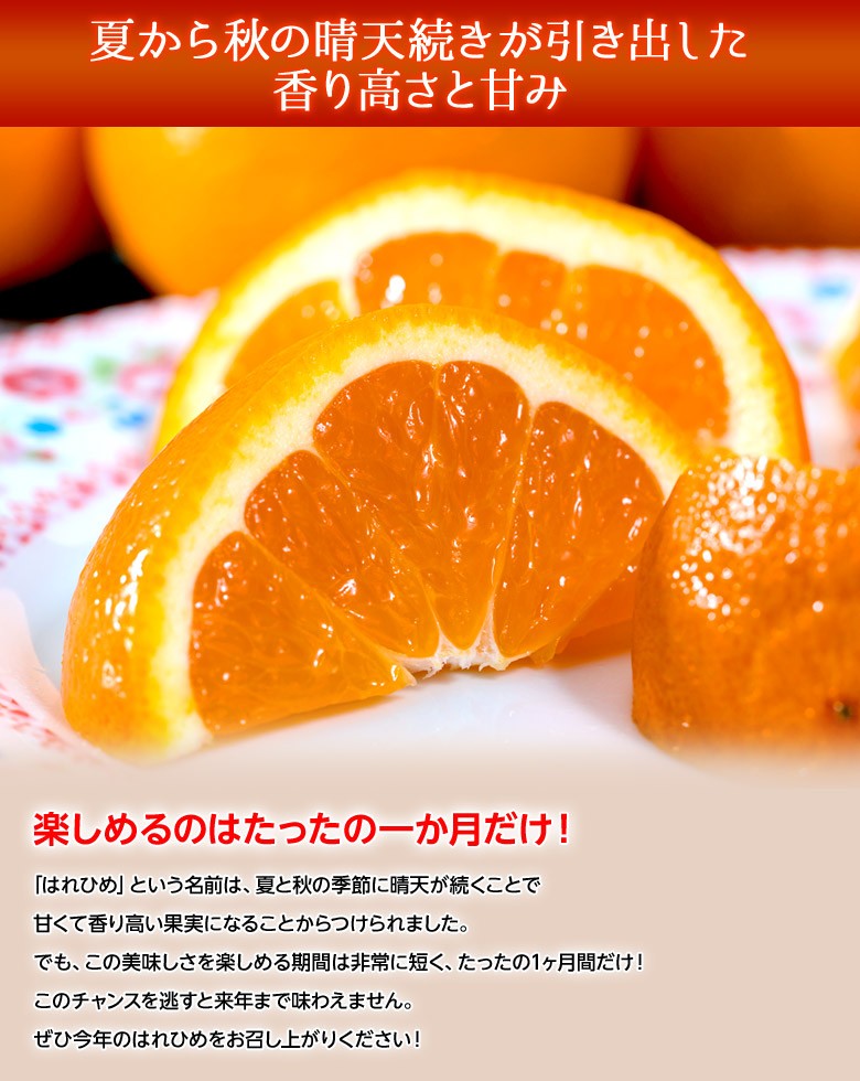 はれひめ 愛媛県産柑橘 M〜3Lサイズ 約5kg 産地箱入 ※常温 送料