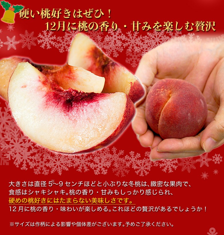 191205-tcp-03.jpg