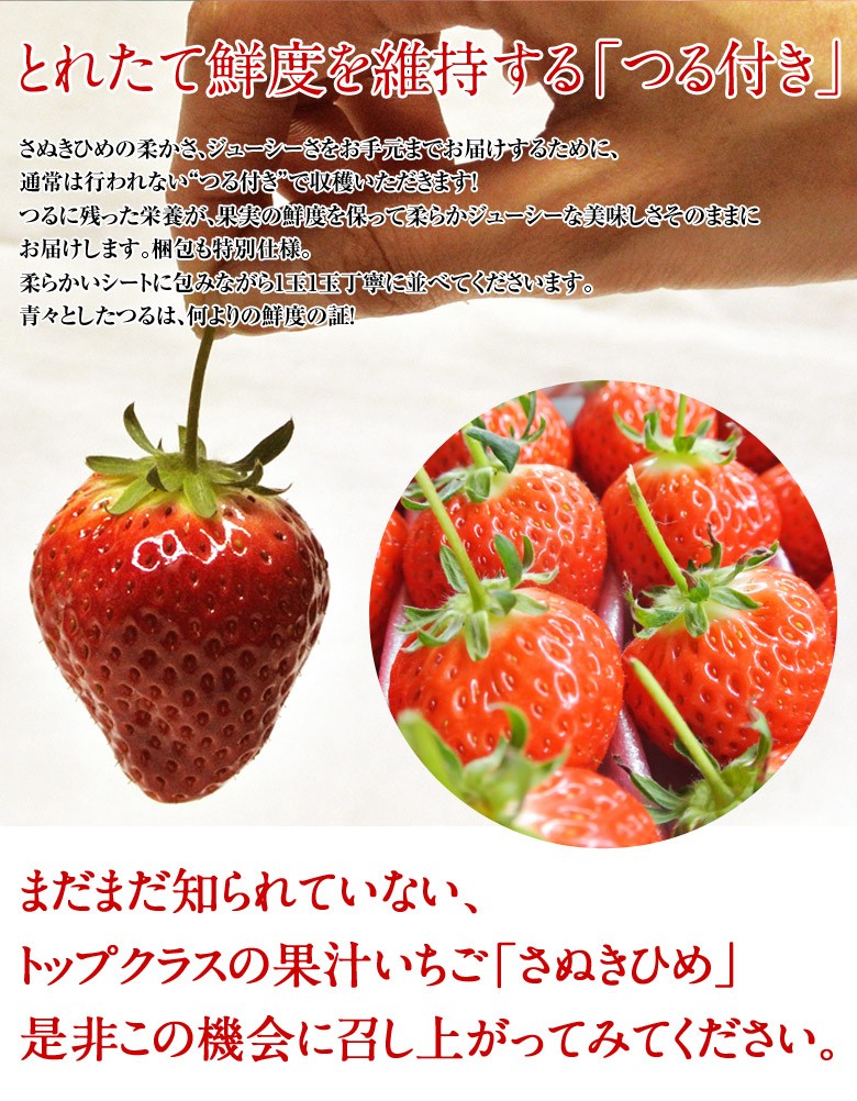 ふるさと納税 贈答用 ギフト 23年2月中旬 5月上旬頃に順次発送予定 北海道 新鮮 約400ｇ 2箱 さぬきひめいちご化粧箱 冷蔵便 苺 イチゴ 産地直送