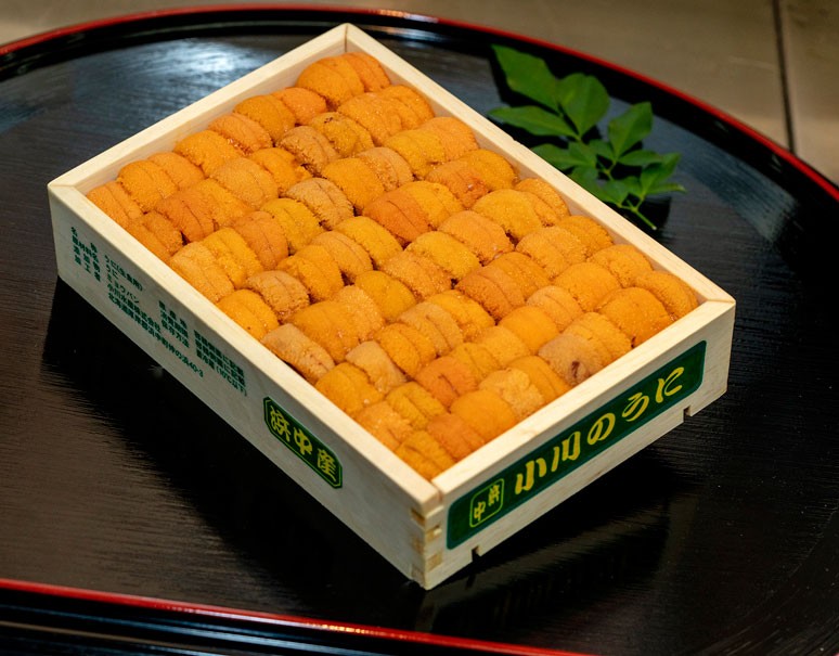 うに ウニ 小川 エゾバフンウニ 弁当箱(並び)約250g 北海道 うに ウニ 小川 エゾバフンウニ 弁当箱(並び)約250g 北海道