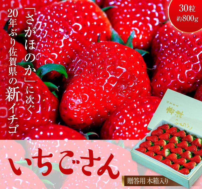 いちご イチゴ 苺 ギフト 佐賀県産 いちごさん 贈答用木箱入り 30粒