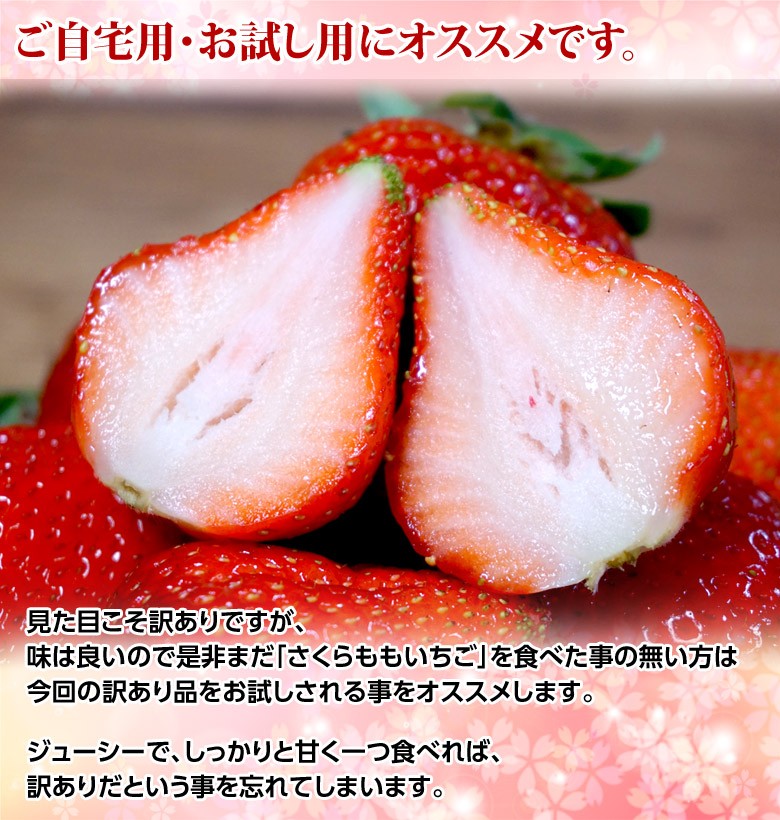 徳島県産 さくらももいちご おおきさおまかせ 1パック約200ｇ以上 12パック