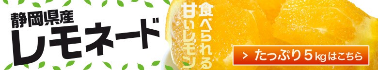 甘いレモン 柑橘 静岡県産 レモネード 約1.2kg 2S〜2Lサイズ 常温 送料