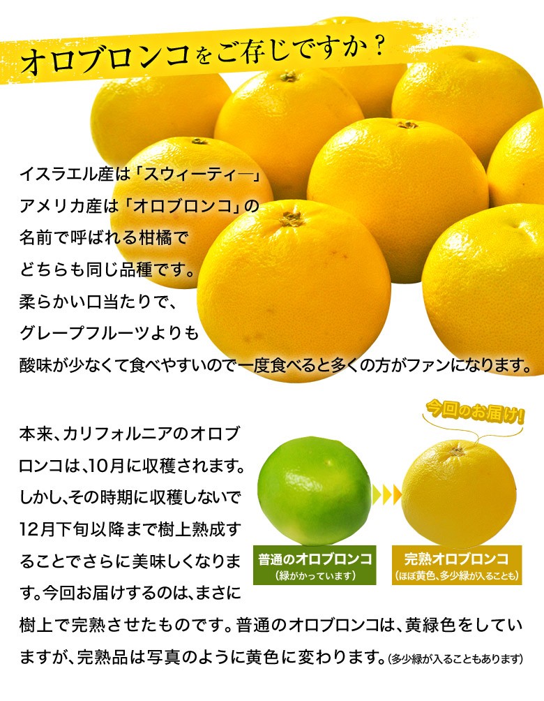 オロブロンコ カリフォルニア産 完熟 オロブロンコ 7 11玉程度 約3kg 送料無料 グレープフルーツ 1g0 豊洲からの直送便 ヤフー店 通販 Yahoo ショッピング