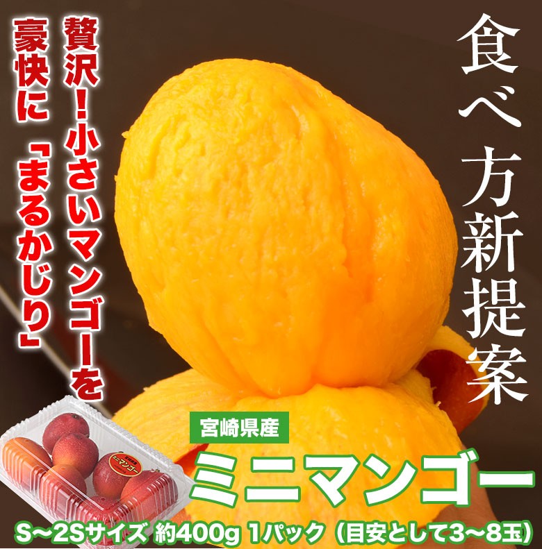マンゴー 宮崎県産 ミニマンゴー S 2sサイズ 約400g 1パック 目安として3 8玉 常温 送料無料 3a いただきマルシェ 通販 Yahoo ショッピング マンゴー 宮崎県産 ミニマンゴー S 2sサイズ 約400g 1パック 目安として3 8玉 常温 送料無料 3a いただきマルシェ 通販 Yahoo ショッピング