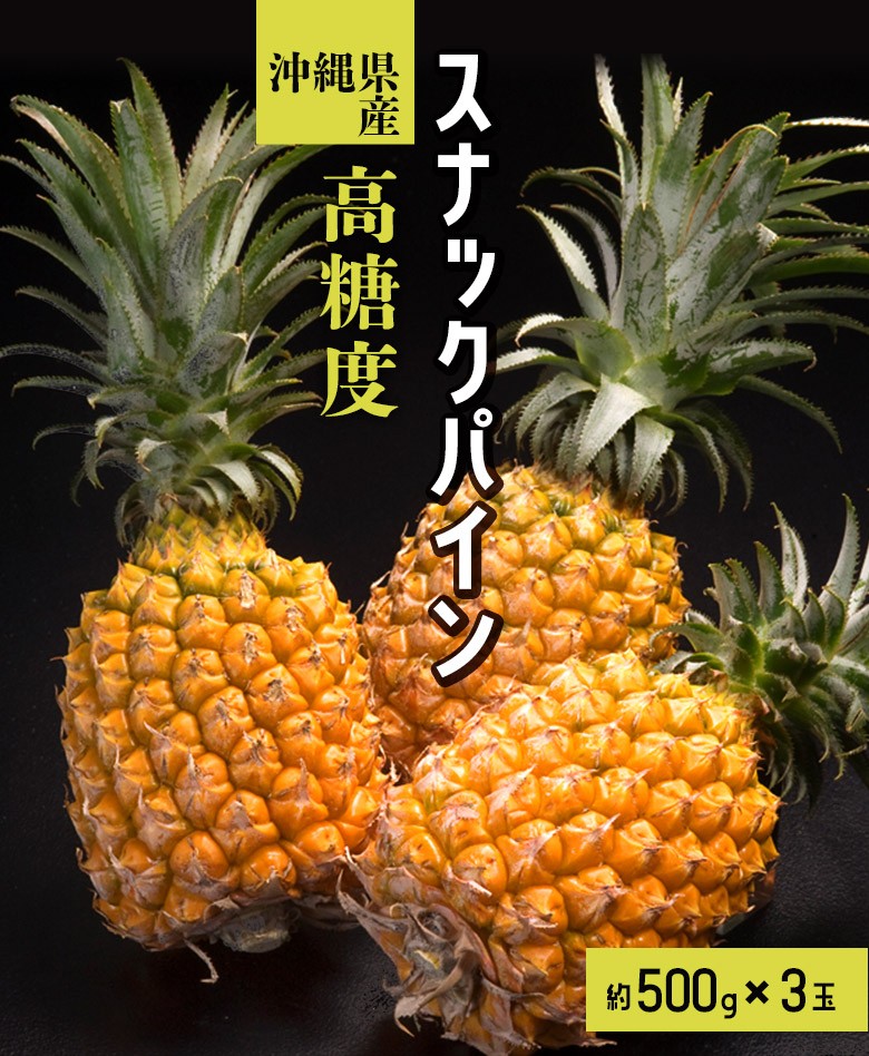 スナックパイン」沖縄県産パイナップル 約500g×3玉 計約1.5kg ※常温 
