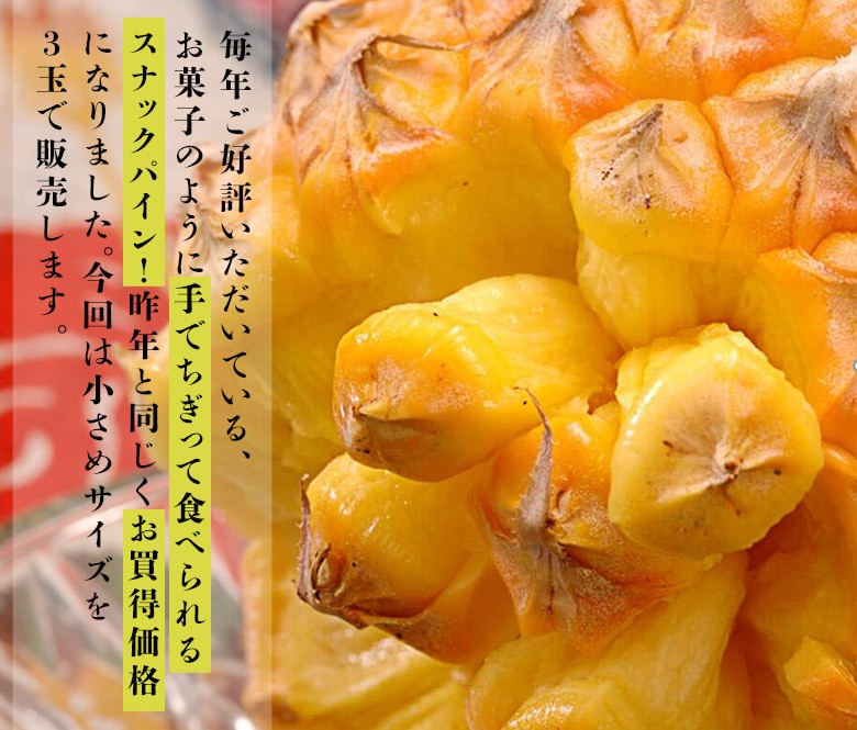 スナックパイン」沖縄県産パイナップル 約500g×3玉 計約1.5kg ※常温 