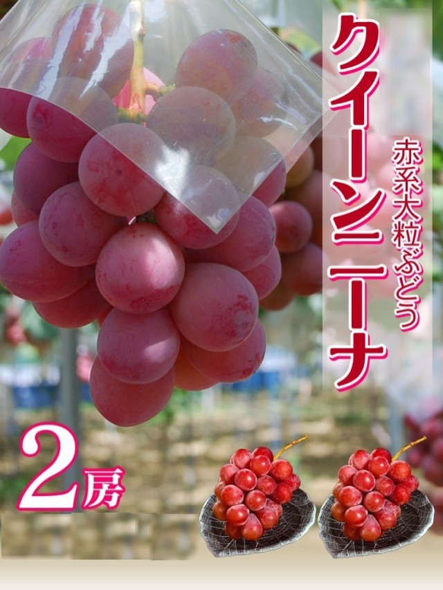 赤系 大粒ぶどう 『クイーンニーナ』長野県産 2房 計約900g ※冷蔵 送料