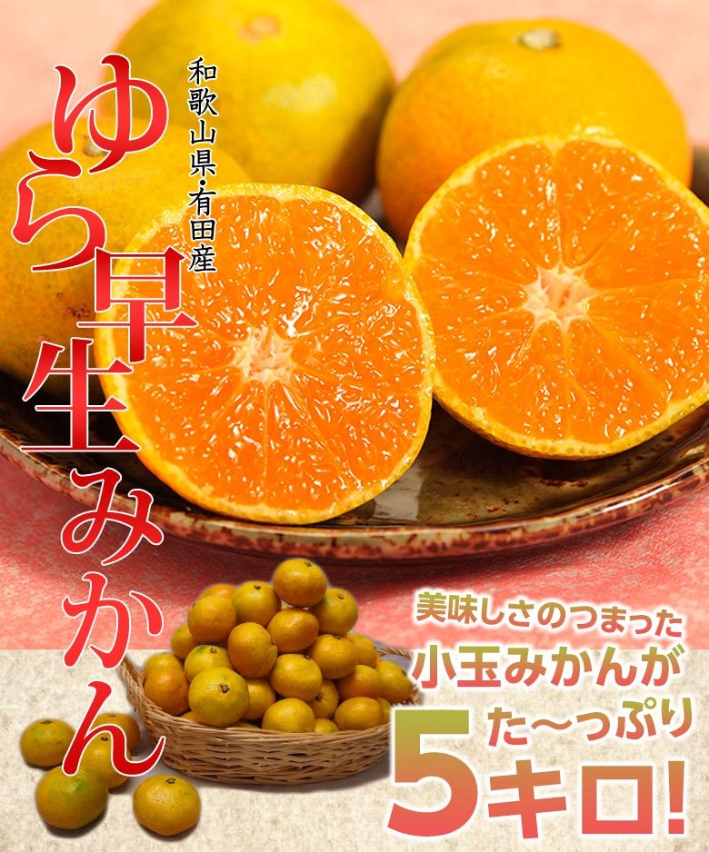 ゆら早生みかん」JAありだ 和歌山県有田産 約5kg S〜2Sサイズ （AQ共選
