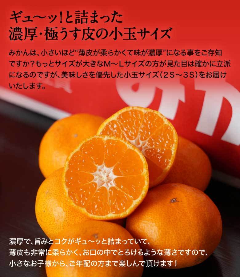 JAからつ 『うまか美人』 みかん 佐賀県産 超小粒(2S〜3S) 約5kg