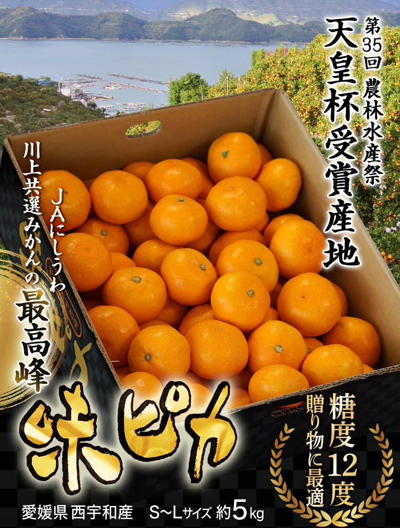 愛媛県産 川上みかん 『味ピカ』JAにしうわ 川上共選 S〜Ｌサイズ 約5kg (風袋込) ※常温 送料無料 :203b04189:豊洲からの直送便  ヤフー店 - 通販 - Yahoo!ショッピング