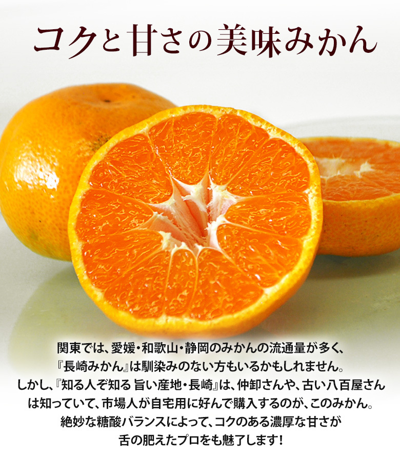 大玉手詰め 長崎みかん 長崎県産 2〜3L 1箱 約4.5kg 産地箱 ※常温 JA