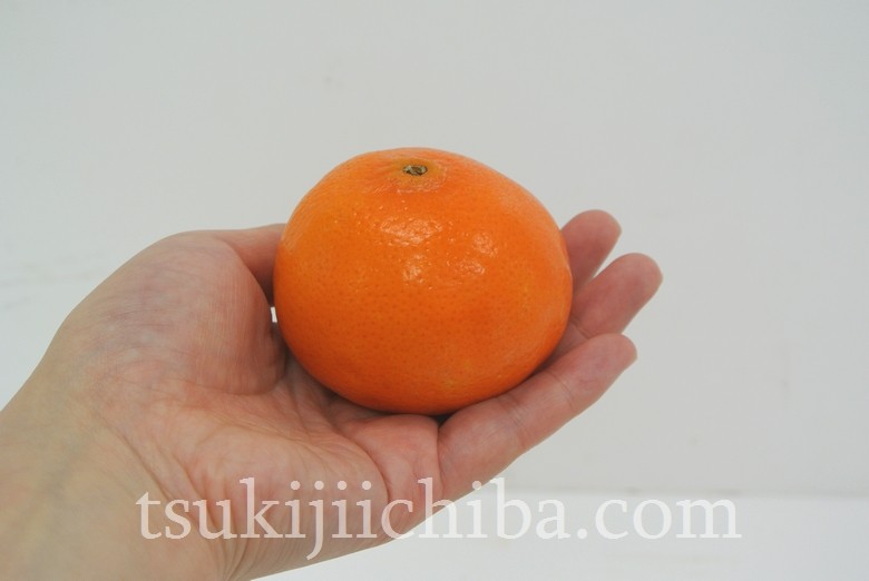 送料無料》オーストラリア産 マンダリンオレンジ 約2キロ ※常温 frt