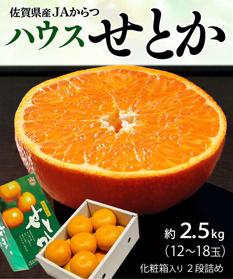 せとか 佐賀県産 柑橘 M〜Lサイズ 約2.5kg（12〜18玉）化粧箱 ※常温