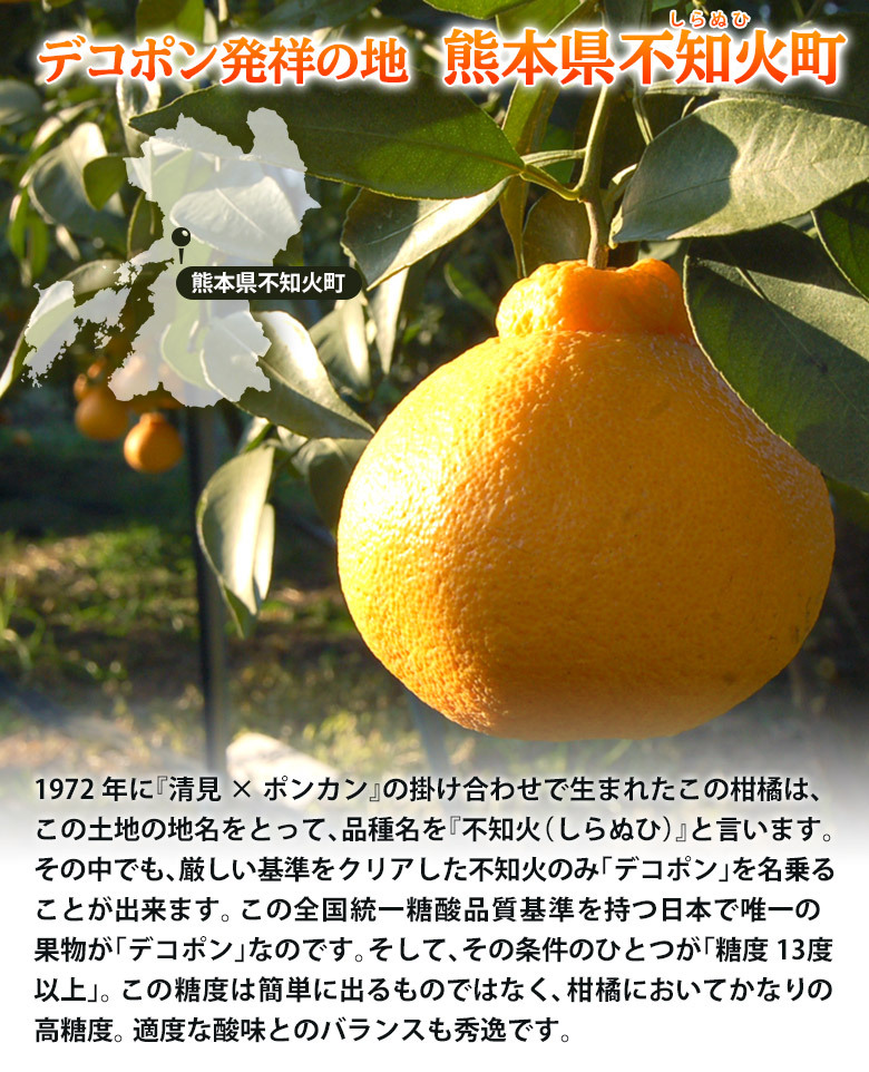 デコポン でこぽん 熊本県産 約1 2kg 4 6玉 3箱買えば1箱オマケ 送料無料 常温 3i 豊洲からの直送便 ヤフー店 通販 Yahoo ショッピング