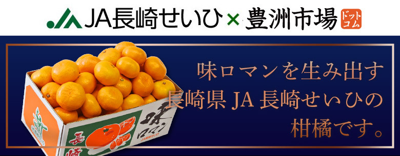 津之輝 （つのかがやき） 長崎県産柑橘 2S〜L 約2.5kg 産地箱 ※常温 JA