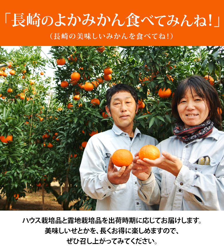 大玉 せとか 長崎県産 柑橘 3〜4L 約3kg（8〜10玉）産地箱 ※常温 JA