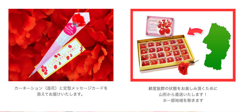 母の日ギフト】『佐藤錦』山形県産温室さくらんぼ Lサイズ 秀品 母の日ギフト】『佐藤錦』山形県産温室さくらんぼ Lサイズ 秀品