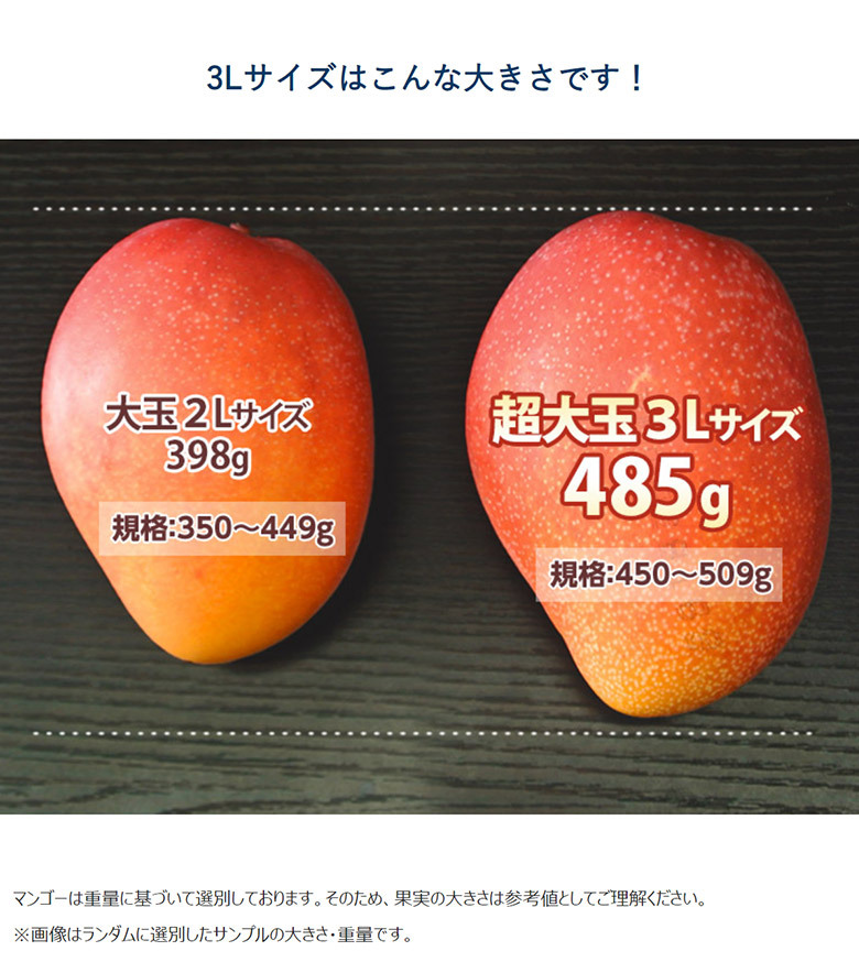 楽天市場】食品サンプル マンゴーの通販