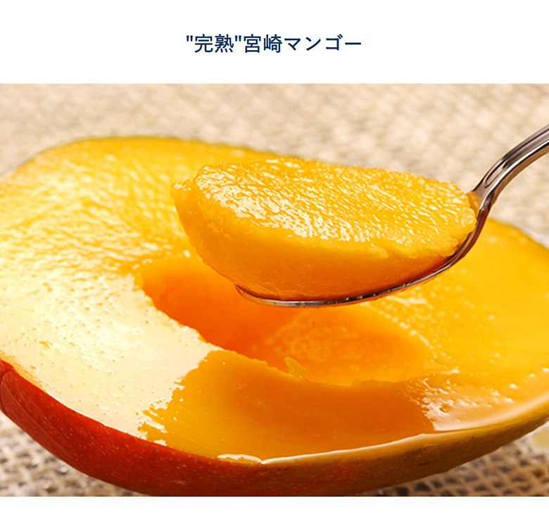 20玉まで送料1口】超大玉『みやざき完熟マンゴー』宮崎県産 3L 1