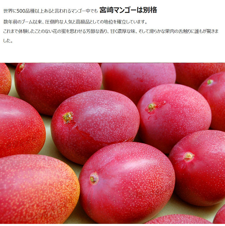 マンゴー 超大玉 みやざき完熟マンゴー 宮崎県産 3L(450〜509g) ×1玉