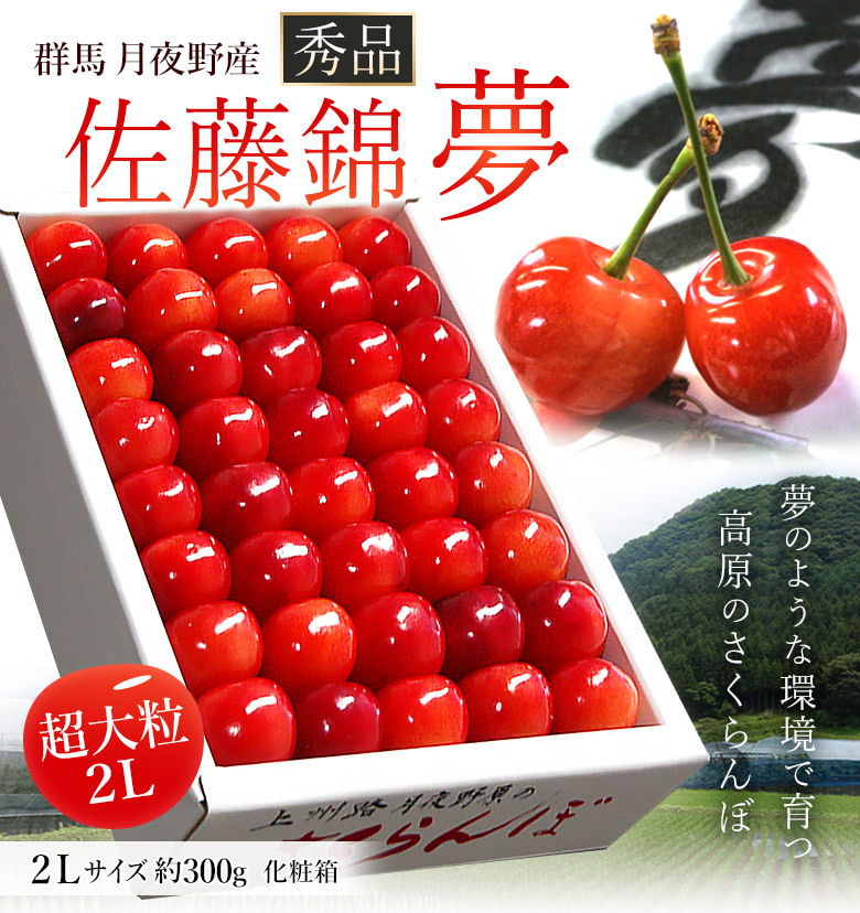 超ポイント祭?期間限定】 山梨県産 さくらんぼ 朝採り もぎたて 佐藤錦