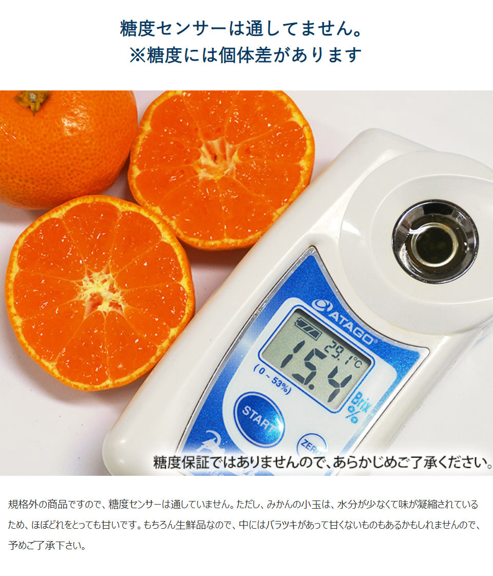 ハウスみかん 佐賀県産 JAからつ 約2kg(目安として45〜64玉） 超