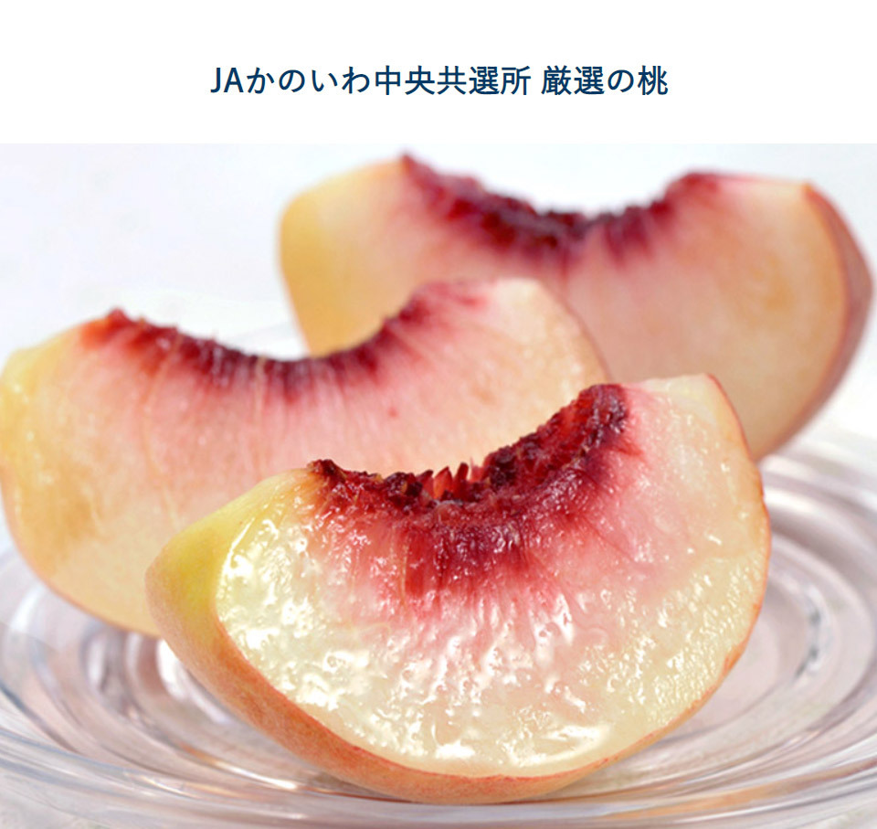 糖度13度基準 ぴ〜一番 山梨県産 桃 信玄ランク 3玉 約900g×1箱