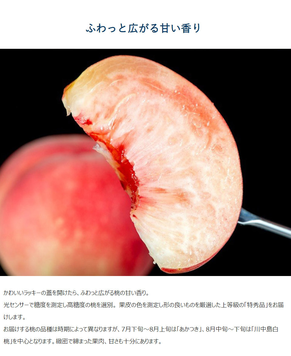 らきもも 福島県産 桃 特秀品 風袋込 約1.6kg（5〜8玉）※常温 JA