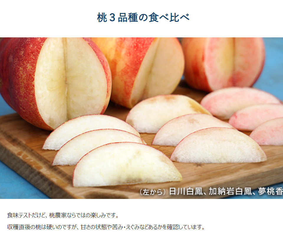 山梨県産 温室桃 3〜6玉入り　約1kg　※クール便発送 楽天市場】桃 クール便の通販
