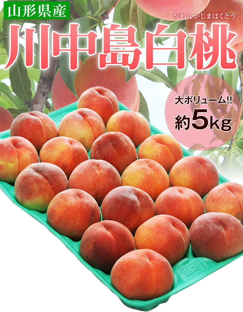 川中島白桃』 山形産 約5kg（13〜20玉） 簡易箱 ※常温 送料無料 :203a06592:豊洲からの直送便 ヤフー店 - 通販 -  Yahoo!ショッピング