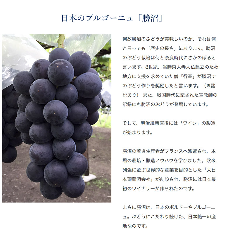 【もこたん】藤稔の粒　箱込1kg弱 藤稔 （ふじみのり） 黒ぶどう 山梨県 勝沼産 3Lサイズ×2房 合計