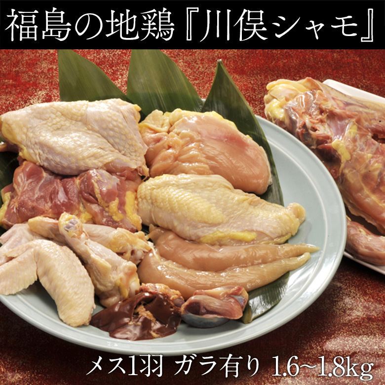 肉 鶏肉 伊達の地鶏 福島県 『川俣シャモ』 バラシ1羽 メス(内臓・ガラ付き) 1.6〜1.8kg 鍋 ギフト ※冷蔵 :201z02595:豊洲から の直送便 ヤフー店 - 通販 - Yahoo!ショッピング