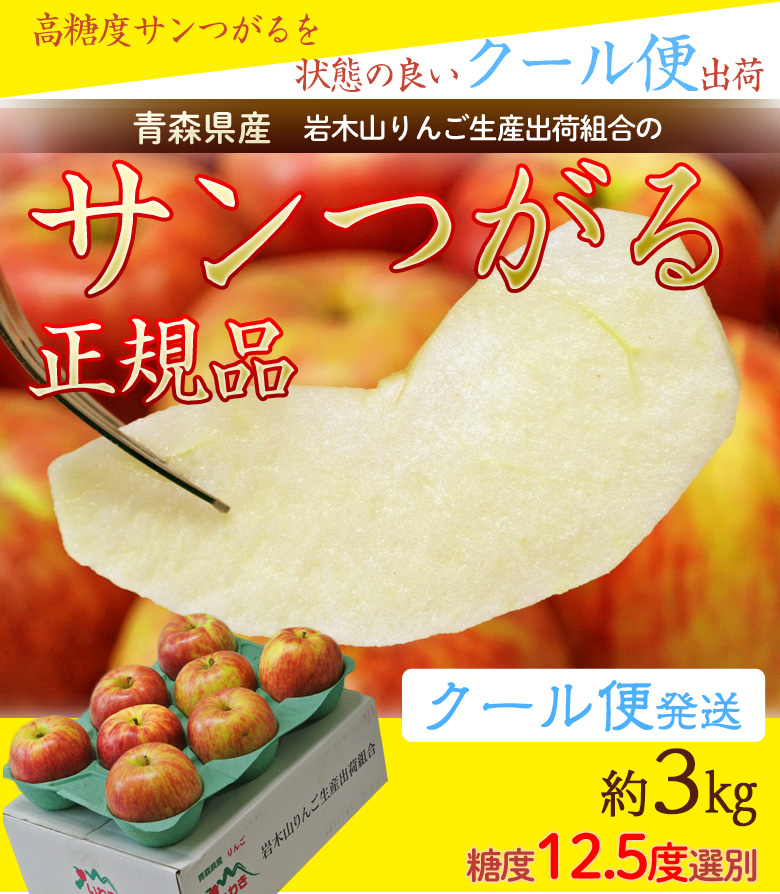 葉とらずりんご『サンつがる』青森県産 岩木山りんご生産出荷組合 約3kg（7〜15玉入）産地箱 ※冷蔵 送料無料  :203i06770:豊洲からの直送便 ヤフー店 - 通販 - Yahoo!ショッピング